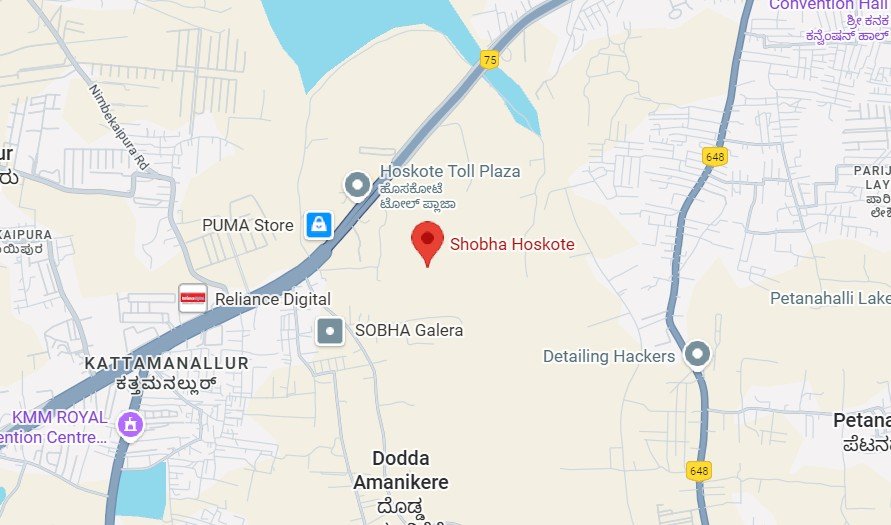 Sobha Hoskote